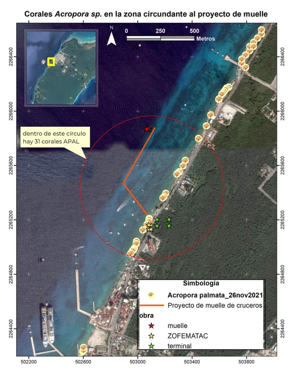 CRITICAN AMBIENTALISTAS APROBACIÓN DE CUARTO MUELLE DE CRUCEROS EN COZUMEL  - Jorge Castro Digital